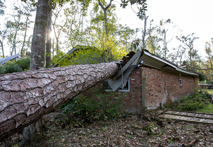 A collapsed tree branch destroys a home after Hurricane Ida. 