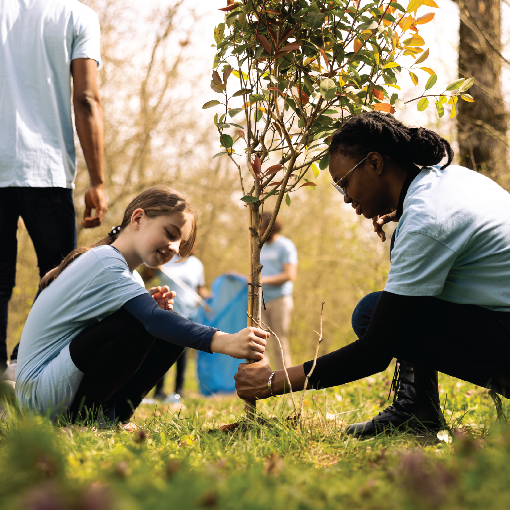 People planting a tree.